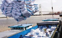 Tháo gỡ khó khăn cho doanh nghiệp xuất khẩu lúa gạo (15h35, ngày 29/10, VTV1)
