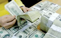 Tỷ giá USD tăng trở lại