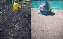 Hơn 36.000 người ký đơn cầu xin phát hành Pokémon GO trên Windows 10 Mobile
