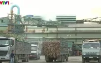 Xe chở quá khổ quá tải hoành hành tại Tây Nguyên