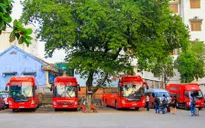 Khánh Hòa xử phạt DN không kê khai điều chỉnh giá cước vận tải