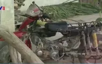 Xe độ chế nở rộ ở Tây Nguyên: Vừa mất an toàn vừa tiếp tay cho buôn gỗ lậu
