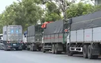 Hàng trăm xe tải ùn ứ đợi hàng trước nhà máy thép