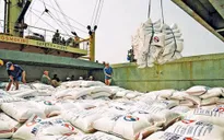 Xuất khẩu gạo hướng tới kim ngạch 3,5 tỷ USD vào 2020