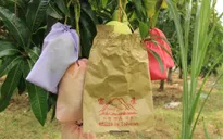 Tiền Giang đề nghị xử lý hành vi đưa tin sai sự thật