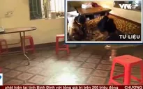 Thu hồi bánh Trung thu "bẩn" tại Thị trấn Kim Bài, huyện Thanh Oai