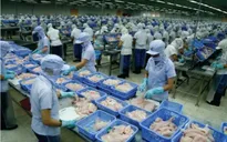 VASEP: Thận trọng khi xuất khẩu cá tra sang Trung Quốc
