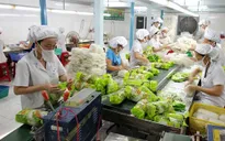 Xuất khẩu rau quả dự kiến đạt 2,5 tỷ USD