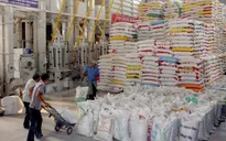 Trung Quốc kiểm tra 31 doanh nghiệp xuất khẩu gạo Việt Nam