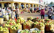 Xuất khẩu nông sản sang Trung Quốc: Tiểu ngạch hay chính ngạch?