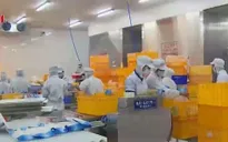 VASEP khẳng định hải sản xuất khẩu an toàn
