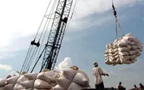 Xuất khẩu gạo của Việt Nam ở mức thấp nhất trong vòng 8 năm