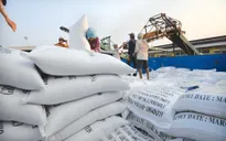 Việt Nam được phép xuất khẩu gạo chính ngạch sang Trung Quốc