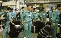 Thời của lao động chất lượng cao?