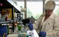Thụy Sĩ phát hiện 2 trường hợp nhiễm virus Zika