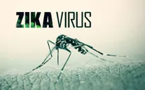 Mỹ tuyên bố tình trạng khẩn cấp ở Puerto Rico vì Zika