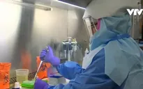 Mỹ ghi nhận trường hợp tử vong đầu tiên do virus Zika