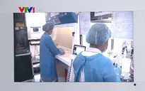 Bác thông tin Khánh Hòa có 4 bệnh nhân dương tính với virus Zika