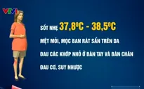 Cách phòng virus Zika khi mang thai