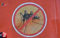 Singapore xem xét lại quy định cách ly bệnh nhân nghi nhiễm Zika