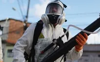 Thái Lan, Đức, Australia xác nhận trường hợp nhiễm virus Zika