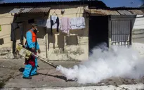 Nỗi ám ảnh virus Zika lan rộng trên quy mô toàn cầu