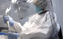 Đức phát triển thành công phương pháp xét nghiệm nhanh virus Zika
