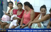 WHO cảnh báo virus Zika lây sang châu Á, châu Phi