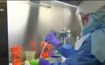 Một phụ nữ Hàn Quốc trở về từ Việt Nam bị nhiễm virus Zika