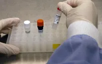 Mỹ phát triển vaccine Zika có thể sản xuất trong một tuần