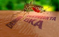 Brazil dỡ bỏ tình trạng khẩn cấp do virus Zika