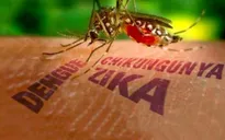 Phòng chống Zika: Bộ Y tế chưa hạn chế đi lại