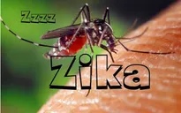 Kêu gọi hội nghị khu vực Mỹ La tinh nhằm đối phó virus Zika