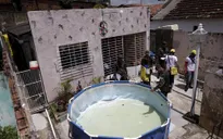 WHO cảnh báo nguy cơ Zika bùng phát thành đại dịch