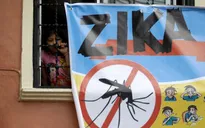 Xuất hiện trường hợp nhiễm virus Zika tại Lào
