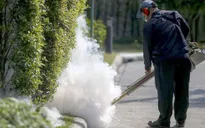 Thái Lan xác nhận 2 trường hợp đầu nhỏ do Zika