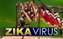 Bộ Y tế: Không nên hoang mang về việc phát hiện bệnh nhân Zika tại Phú Yên