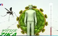Singapore và Philippines phát hiện ca nhiễm virus Zika mới