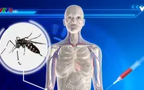 Các nước ASEAN và WHO họp bàn giải pháp chống bệnh do virus Zika