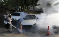 Pháp xác nhận trường hợp đầu tiên nhiễm Zika qua đường tình dục