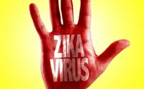 Bộ Y tế ban hành hướng dẫn chẩn đoán và điều trị virus Zika
