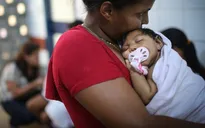Nữ bệnh nhân nhiễm virus Zika tại Nhật Bản là người Đức