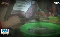 Doanh nghiệp lao đao vì tình trạng bơm tạp chất vào tôm