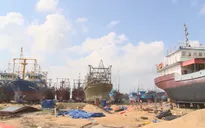 Đền bù, hỗ trợ thiệt hại cho ngư dân có tàu vỏ thép bị hư hỏng