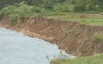 Sạt lở đất nghiêm trọng ven sông Sê Păng Hiêng (Quảng Trị)