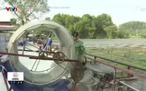Tôn vinh những điển hình tiên tiến trong xây dựng và phát triển kinh tế Hợp tác xã