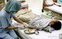 Cảnh báo vào mùa bệnh viêm não Nhật Bản