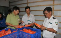 TP.HCM xử phạt hơn 200 triệu đồng trong tháng vệ sinh an toàn thực phẩm