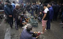 Bày bán tràn lan gia cầm sống tại TP.HCM