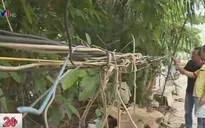 Cần Thơ: Mất an toàn điện trong khu dân cư